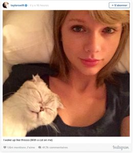 Taylor Swift et son chat