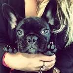 images 12