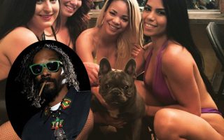 Snoop Dogg ouvre un compte Instagram pour son chien