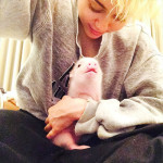 Miley Cyrus et son cochon