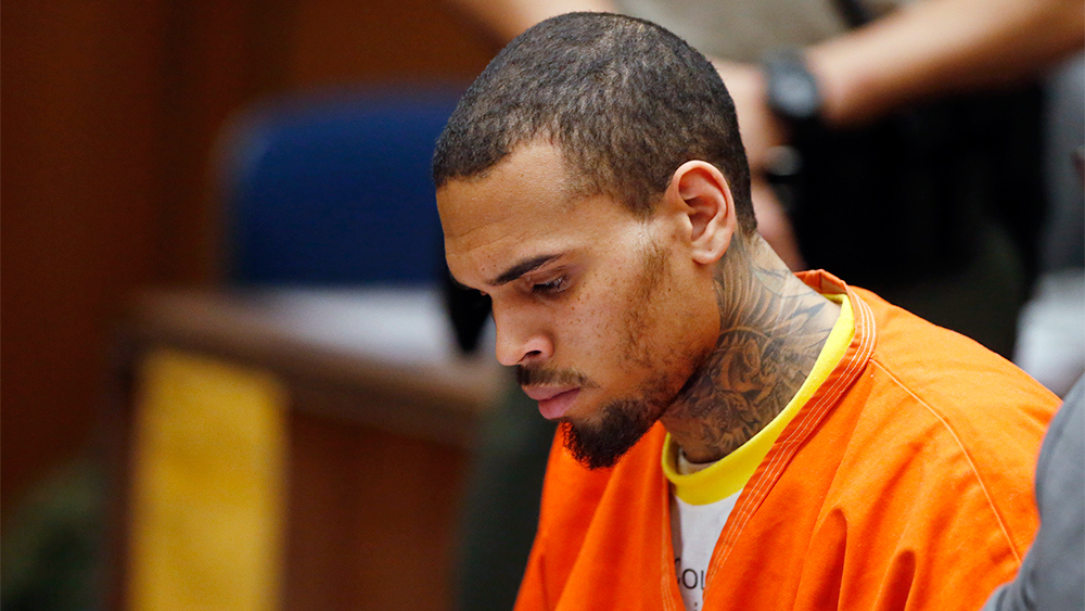 chris brown trib