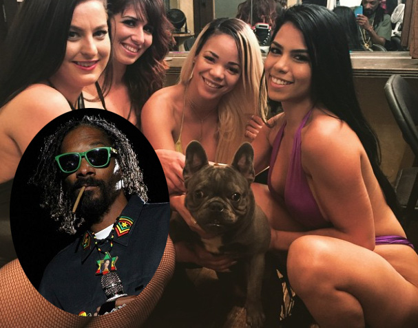 Snoop Dogg ouvre un compte Instagram pour son chien