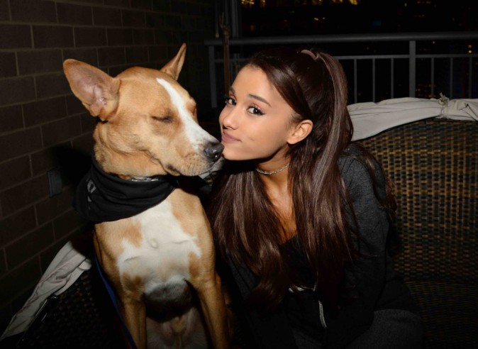 Ariana Grande les chiens et elle c est une grande histoire d amour portrait w674