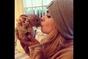 Cara Delevingne et son animal de compagnie, un lapin