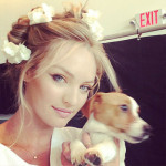 L'animal de compagnie de Candice Swanepoel