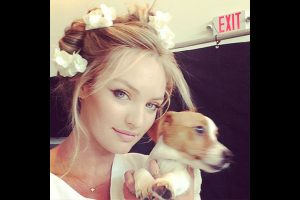 L'animal de compagnie de Candice Swanepoel