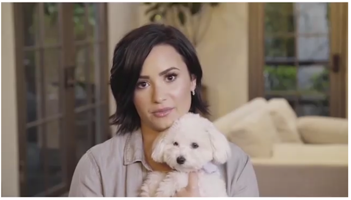 demi lovato buddy lovato