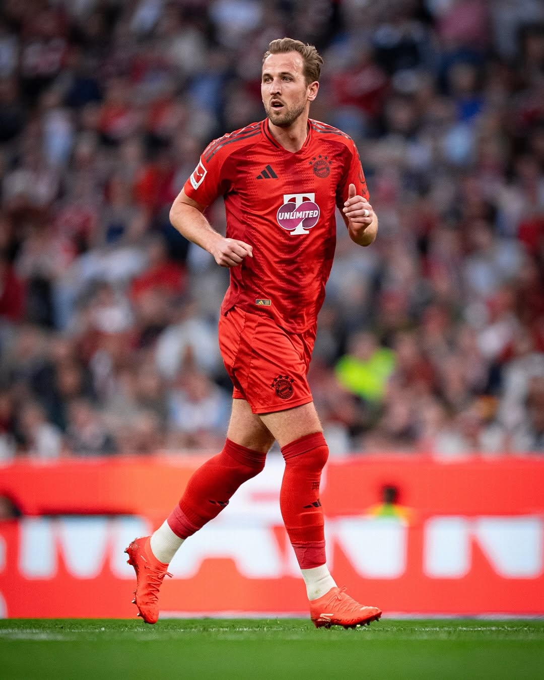 Harry Kane